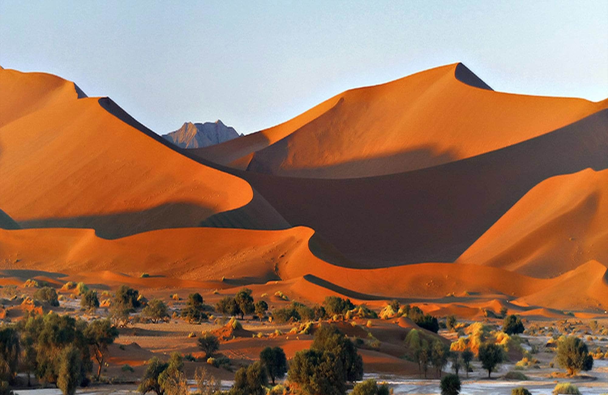 Desert Whisper